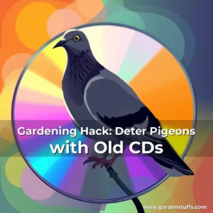 Artistic representation for Gardening Hack: Deter Pigeons with Old CDs
